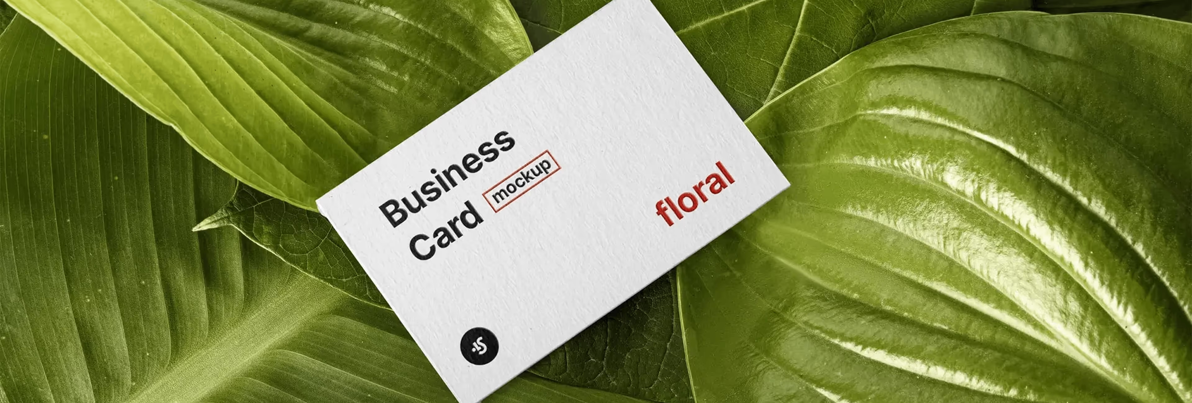 Floral Botanical Matt Business Card project visual 1