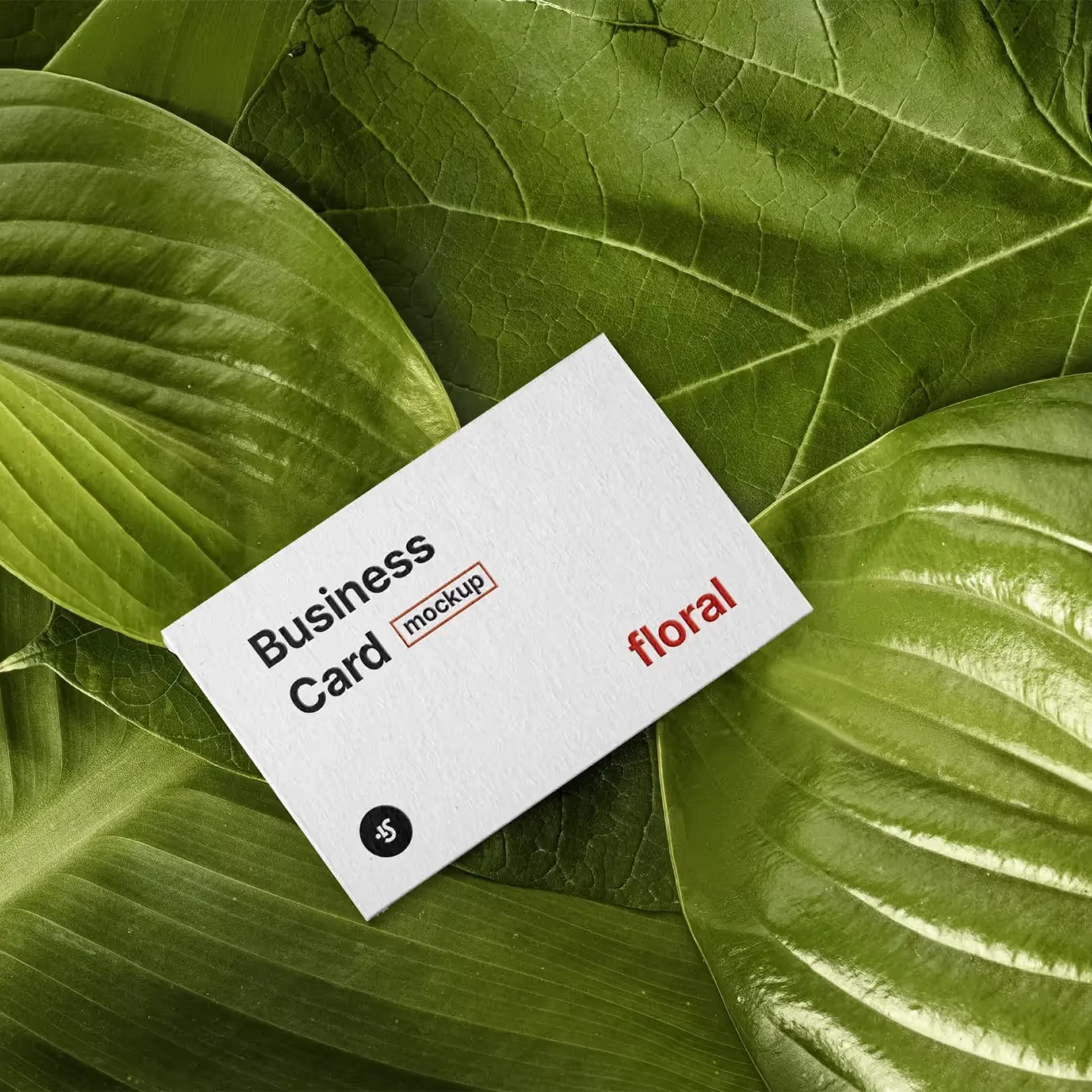 Floral botanical business card design