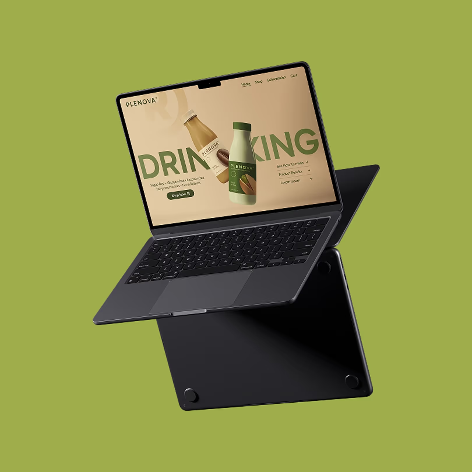 Plenova web design and development project